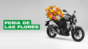 Feria de las Flores