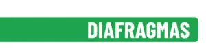 Diafragmas