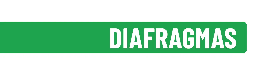 Diafragmas