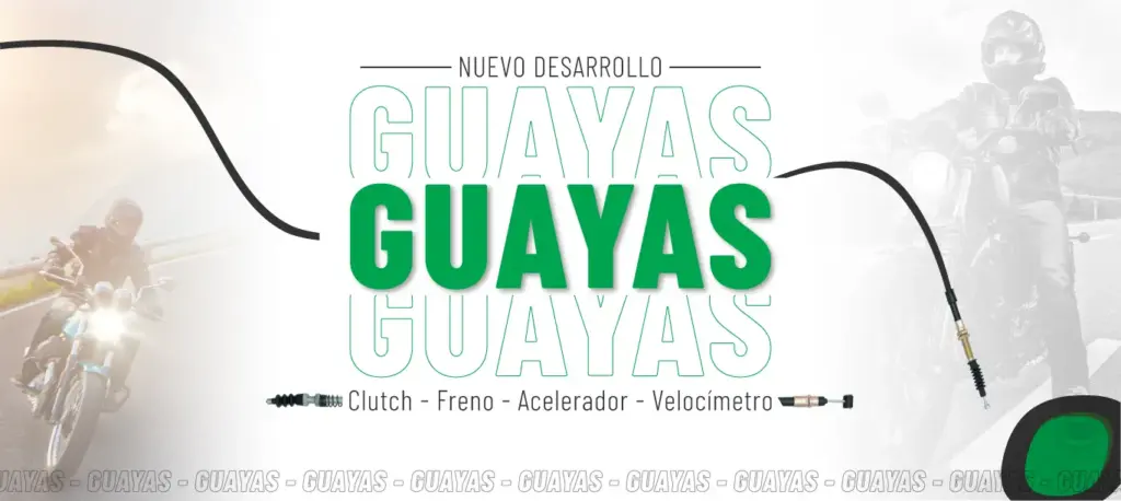 Sistema nervioso de tu moto