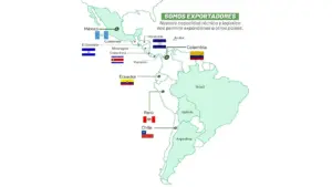 DARROW “EL VERDE COLOMBIANO”
